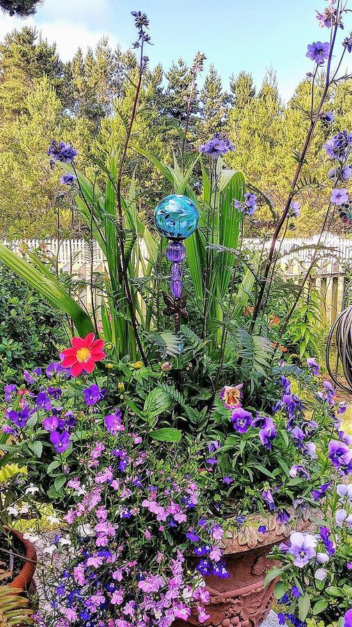 Boreas Bed & Breakfast Inn Long Beach Extérieur photo